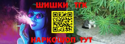 спиды Обь