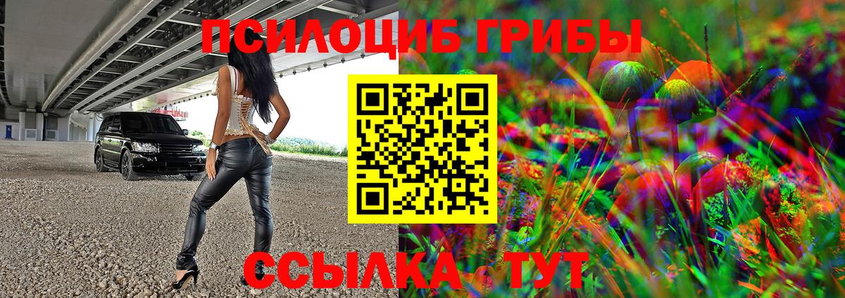 Сибай  Псилоцибиновые грибы Psilocybe  Вход с VPN 